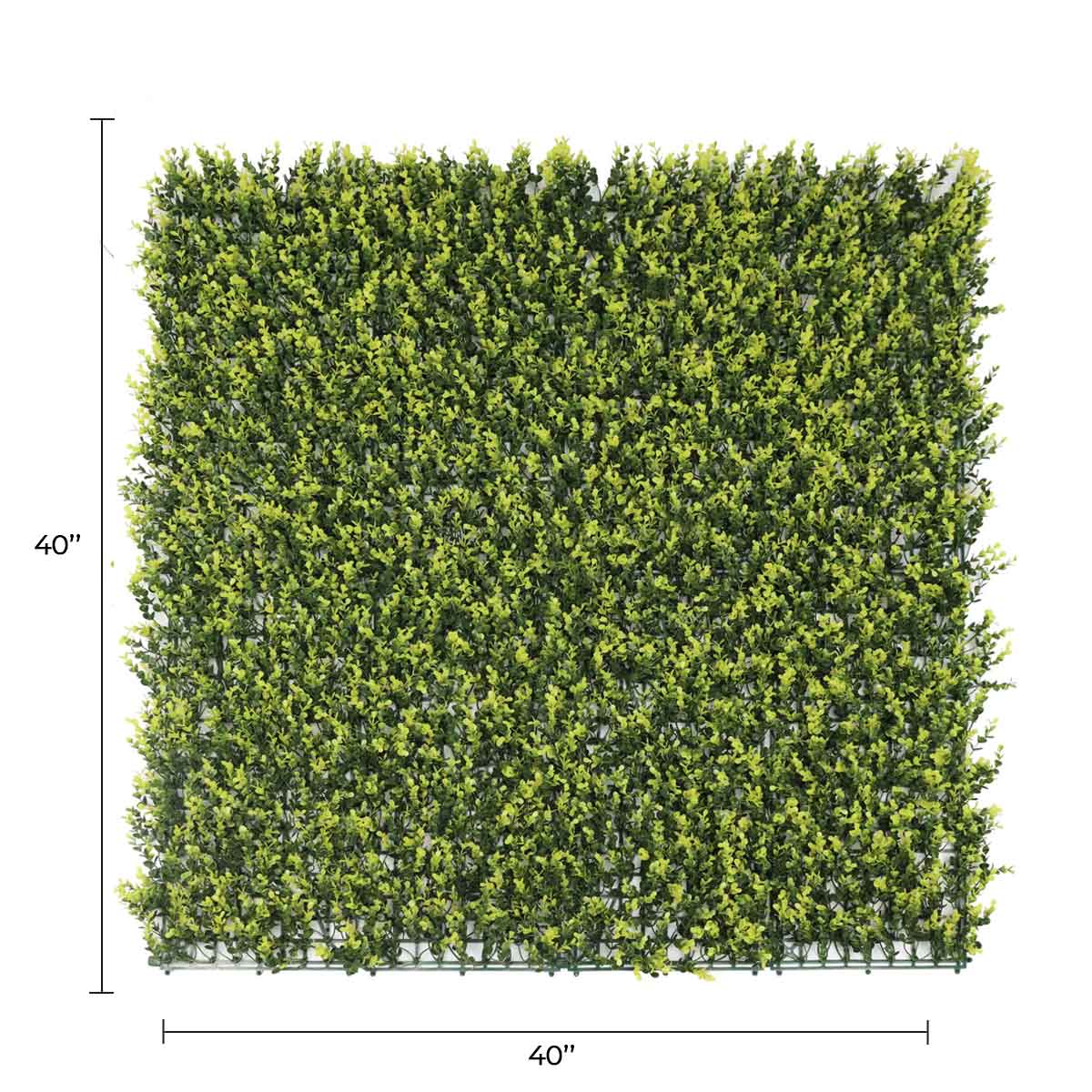 Yellow English Artificial Boxwood Wall 40